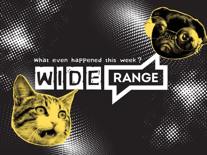 WIDE RANGE: Keep Big Bird, kill journalism?